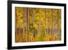 Independence Pass-John Gavrilis-Framed Photographic Print