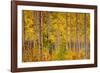 Independence Pass-John Gavrilis-Framed Photographic Print