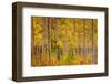 Independence Pass-John Gavrilis-Framed Photographic Print