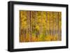 Independence Pass-John Gavrilis-Framed Photographic Print