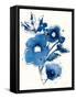 Independent Blooms Blue III-Shirley Novak-Framed Stretched Canvas