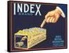 Index Lemon Label-null-Framed Stretched Canvas