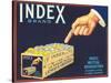 Index Lemon Label-null-Stretched Canvas