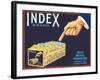 Index Lemon Label-null-Framed Art Print