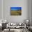 Index Peak Reflects into Mud Lake on the Beartooth Plateau, Wyoming, USA-Chuck Haney-Photographic Print displayed on a wall