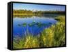 Index Peak Reflects into Mud Lake on the Beartooth Plateau, Wyoming, USA-Chuck Haney-Framed Stretched Canvas