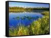 Index Peak Reflects into Mud Lake on the Beartooth Plateau, Wyoming, USA-Chuck Haney-Framed Stretched Canvas