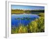Index Peak Reflects into Mud Lake on the Beartooth Plateau, Wyoming, USA-Chuck Haney-Framed Photographic Print