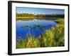 Index Peak Reflects into Mud Lake on the Beartooth Plateau, Wyoming, USA-Chuck Haney-Framed Photographic Print