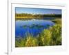 Index Peak Reflects into Mud Lake on the Beartooth Plateau, Wyoming, USA-Chuck Haney-Framed Photographic Print