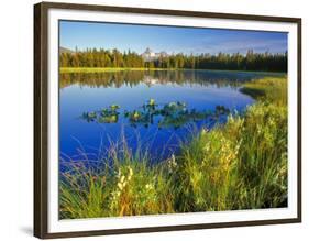 Index Peak Reflects into Mud Lake on the Beartooth Plateau, Wyoming, USA-Chuck Haney-Framed Photographic Print