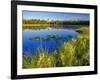 Index Peak Reflects into Mud Lake on the Beartooth Plateau, Wyoming, USA-Chuck Haney-Framed Photographic Print