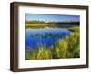 Index Peak Reflects into Mud Lake on the Beartooth Plateau, Wyoming, USA-Chuck Haney-Framed Photographic Print