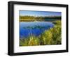 Index Peak Reflects into Mud Lake on the Beartooth Plateau, Wyoming, USA-Chuck Haney-Framed Photographic Print