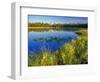 Index Peak Reflects into Mud Lake on the Beartooth Plateau, Wyoming, USA-Chuck Haney-Framed Photographic Print