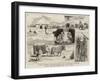 India, a Ten Days' Sporting Trip in the Jungle-null-Framed Giclee Print