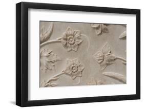 India, Agra, Taj Mahal. Detail of Carved Marble with Flower Design-Cindy Miller Hopkins-Framed Photographic Print