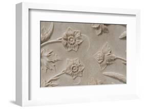 India, Agra, Taj Mahal. Detail of Carved Marble with Flower Design-Cindy Miller Hopkins-Framed Photographic Print