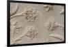 India, Agra, Taj Mahal. Detail of Carved Marble with Flower Design-Cindy Miller Hopkins-Framed Photographic Print