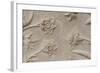 India, Agra, Taj Mahal. Detail of Carved Marble with Flower Design-Cindy Miller Hopkins-Framed Photographic Print