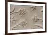 India, Agra, Taj Mahal. Detail of Carved Marble with Flower Design-Cindy Miller Hopkins-Framed Photographic Print