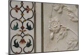 India, Agra, Taj Mahal. Detail of Marble Inlay with Carved Flowers-Cindy Miller Hopkins-Mounted Photographic Print