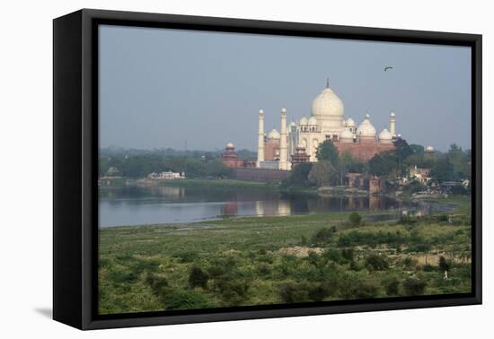 India, Agra. Taj Mahal from the Red Fort of Agra. Sandstone Fortress-Cindy Miller Hopkins-Framed Stretched Canvas