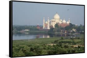 India, Agra. Taj Mahal from the Red Fort of Agra. Sandstone Fortress-Cindy Miller Hopkins-Framed Stretched Canvas