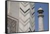 India, Agra, Taj Mahal. Memorial to Queen Mumtaz Mahal. Geometric Wall-Cindy Miller Hopkins-Framed Stretched Canvas