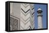 India, Agra, Taj Mahal. Memorial to Queen Mumtaz Mahal. Geometric Wall-Cindy Miller Hopkins-Framed Stretched Canvas