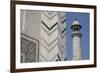 India, Agra, Taj Mahal. Memorial to Queen Mumtaz Mahal. Geometric Wall-Cindy Miller Hopkins-Framed Photographic Print