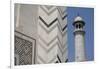 India, Agra, Taj Mahal. Memorial to Queen Mumtaz Mahal. Geometric Wall-Cindy Miller Hopkins-Framed Photographic Print