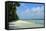 India, Andaman Islands, Havelock, White Sand Beach at Low Tide-Anthony Asael-Framed Stretched Canvas