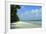 India, Andaman Islands, Havelock, White Sand Beach at Low Tide-Anthony Asael-Framed Photographic Print