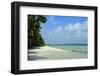 India, Andaman Islands, Havelock, White Sand Beach at Low Tide-Anthony Asael-Framed Photographic Print