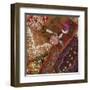 India Art II-null-Framed Art Print