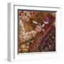 India Art II-null-Framed Art Print