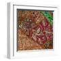 India Art III-null-Framed Art Print