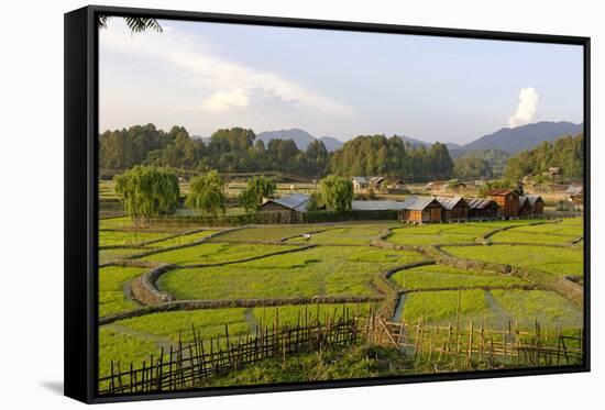 India, Arunachal Pradesh, Ziro Valley-Amar Grover-Framed Stretched Canvas