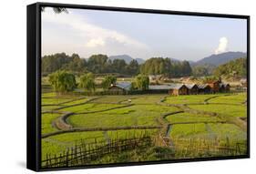 India, Arunachal Pradesh, Ziro Valley-Amar Grover-Framed Stretched Canvas