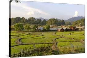 India, Arunachal Pradesh, Ziro Valley-Amar Grover-Stretched Canvas
