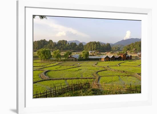 India, Arunachal Pradesh, Ziro Valley-Amar Grover-Framed Photographic Print