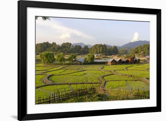 India, Arunachal Pradesh, Ziro Valley-Amar Grover-Framed Photographic Print