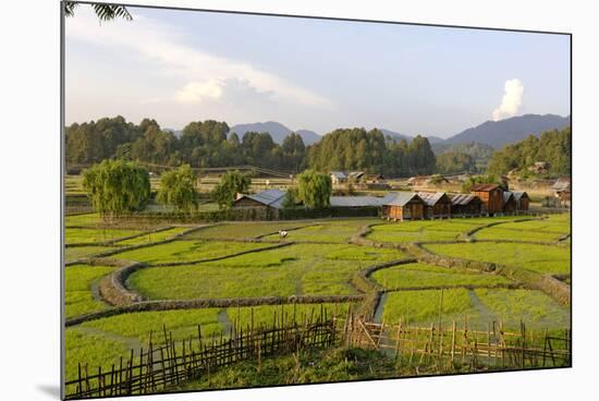 India, Arunachal Pradesh, Ziro Valley-Amar Grover-Mounted Photographic Print