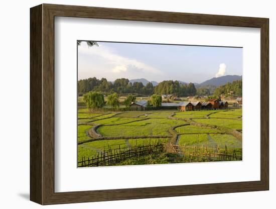 India, Arunachal Pradesh, Ziro Valley-Amar Grover-Framed Photographic Print