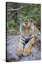 India, Bandhavgarh National Park, Tiger Cub Lying on Rock-Theo Allofs-Stretched Canvas