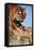 India, Bengal Tigers, Panthera Tigris-Stuart Westmorland-Framed Stretched Canvas