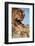 India, Bengal Tigers, Panthera Tigris-Stuart Westmorland-Framed Photographic Print