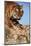 India, Bengal Tigers, Panthera Tigris-Stuart Westmorland-Mounted Photographic Print