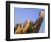 India, Bihar, Bodh Gaya (Aka Bodhgaya), Statues of Bodhisattvas, or 'Enlightened Beings', Garden in-Amar Grover-Framed Photographic Print